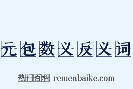 元包数义反义词是什么意思的图片